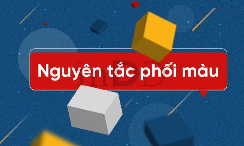Nguyên tắc phối màu đơn sắc