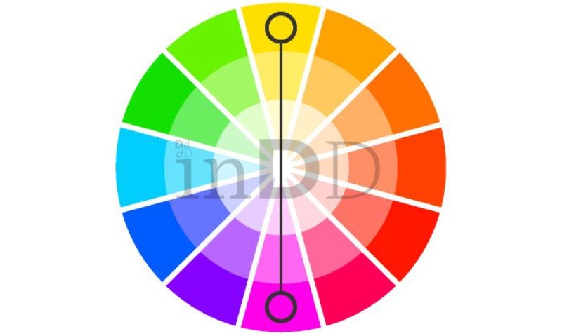 Complementary là nguyên tắc kết hợp màu sắc phù hợp