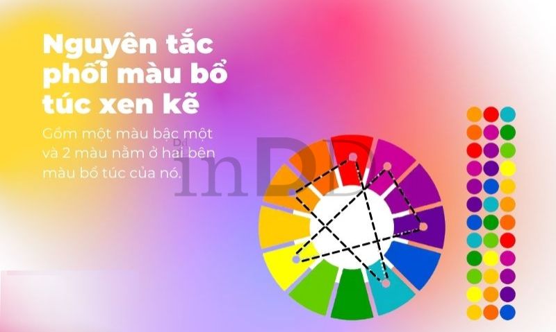 Phối màu bổ túc xen kẽ thể hiện sự độc đáo