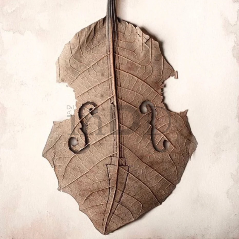 Thiết kế tương phản 