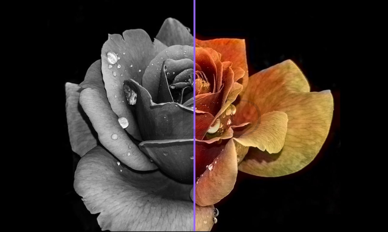 Tạo sự cân bằng khi ứng dụng màu tương phản