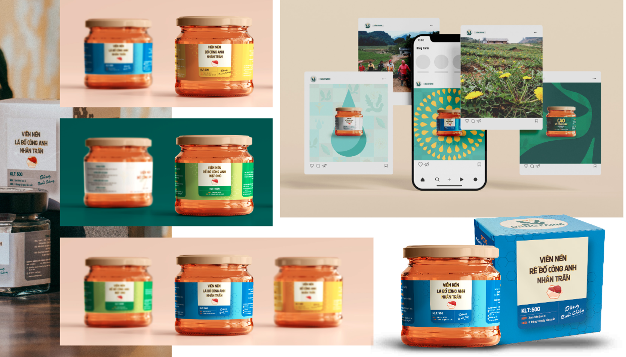 tang tuong phan mau sac cho bao bi 