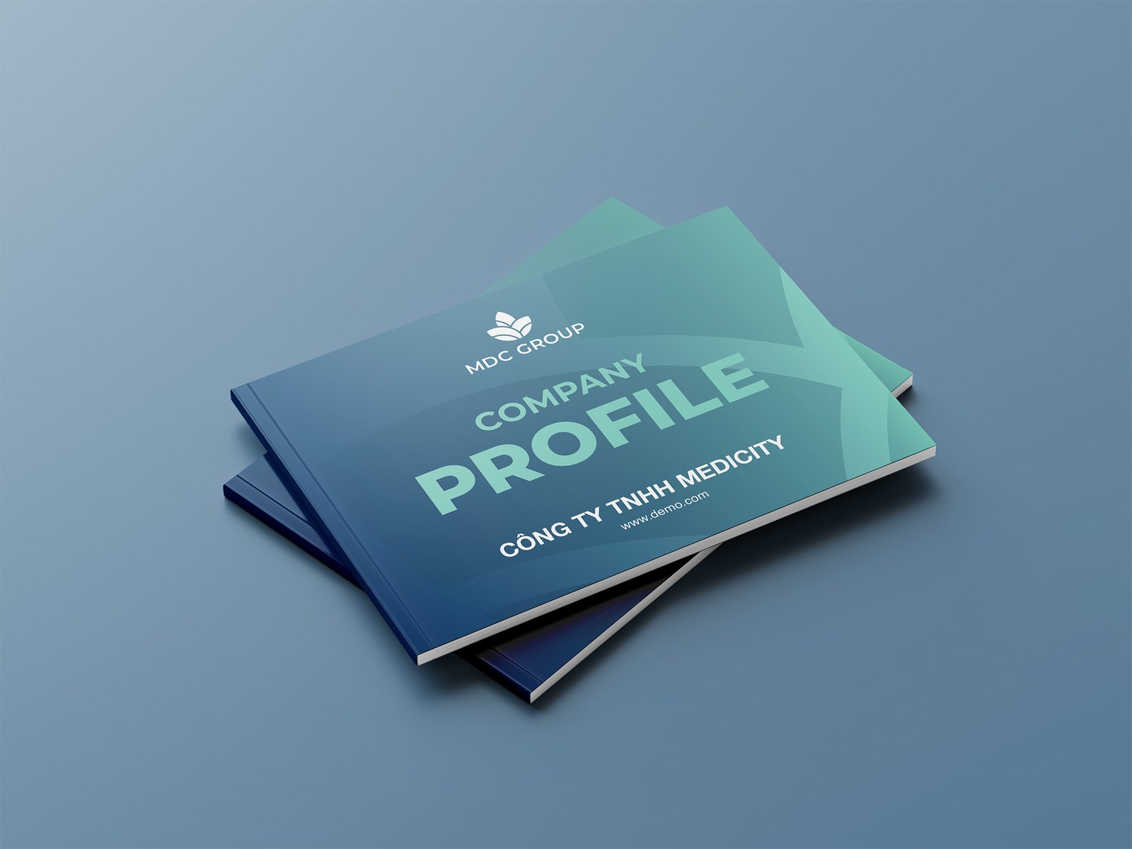 Profile cong ty duoc MDC Group - profile công ty - inDD Creative