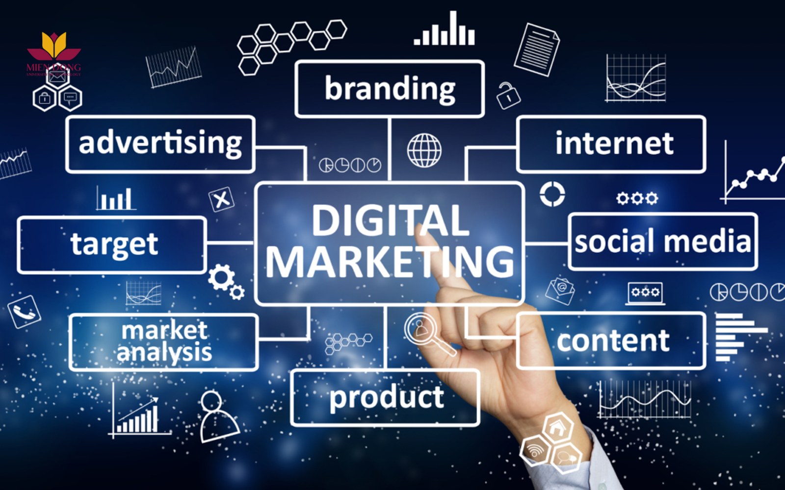 Digital Marketing cho SME - digital marketing - digital marketing SME - inDD Creative