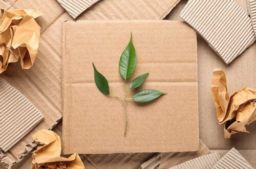 Bao bì thân thiện môi trường - Bao bi xanh 2 - inDD Creative